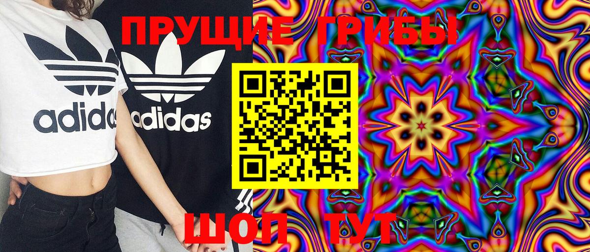 Галлюциногенные грибы Psilocybe Ижевск