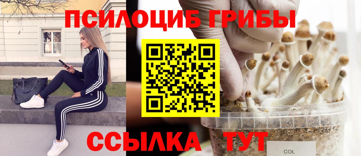 Псилоцибиновые грибы MAGIC MUSHROOMS  Галлюциногенные грибы Cubensis  Вход с VPN  Ижевск 